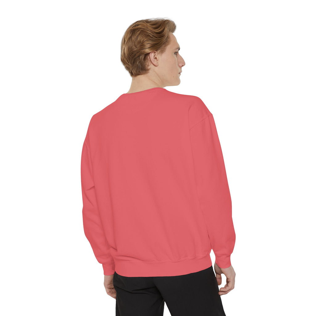 سويت شيرت Picture Imperfect Unisex مصبوغ بصبغة طبيعية