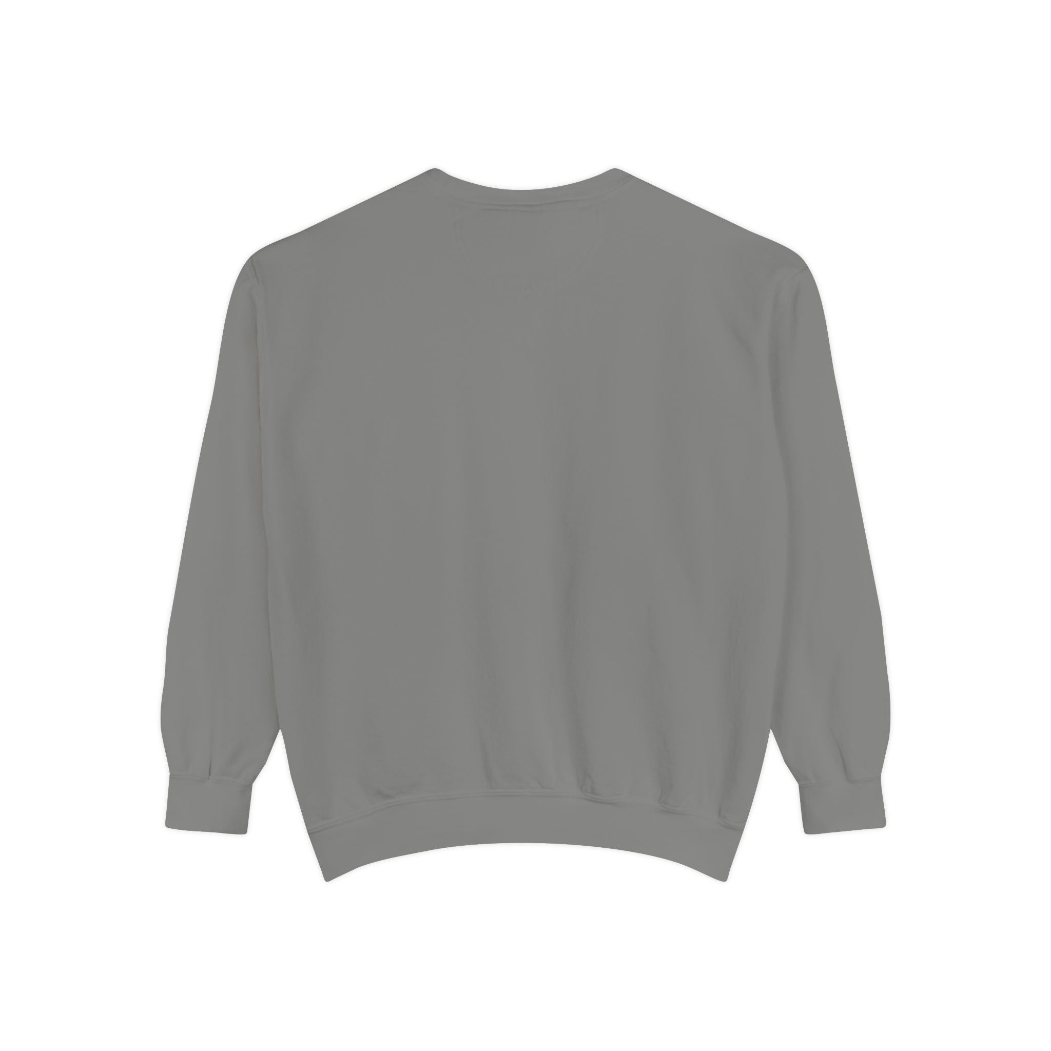 سويت شيرت Picture Imperfect Unisex مصبوغ بصبغة طبيعية