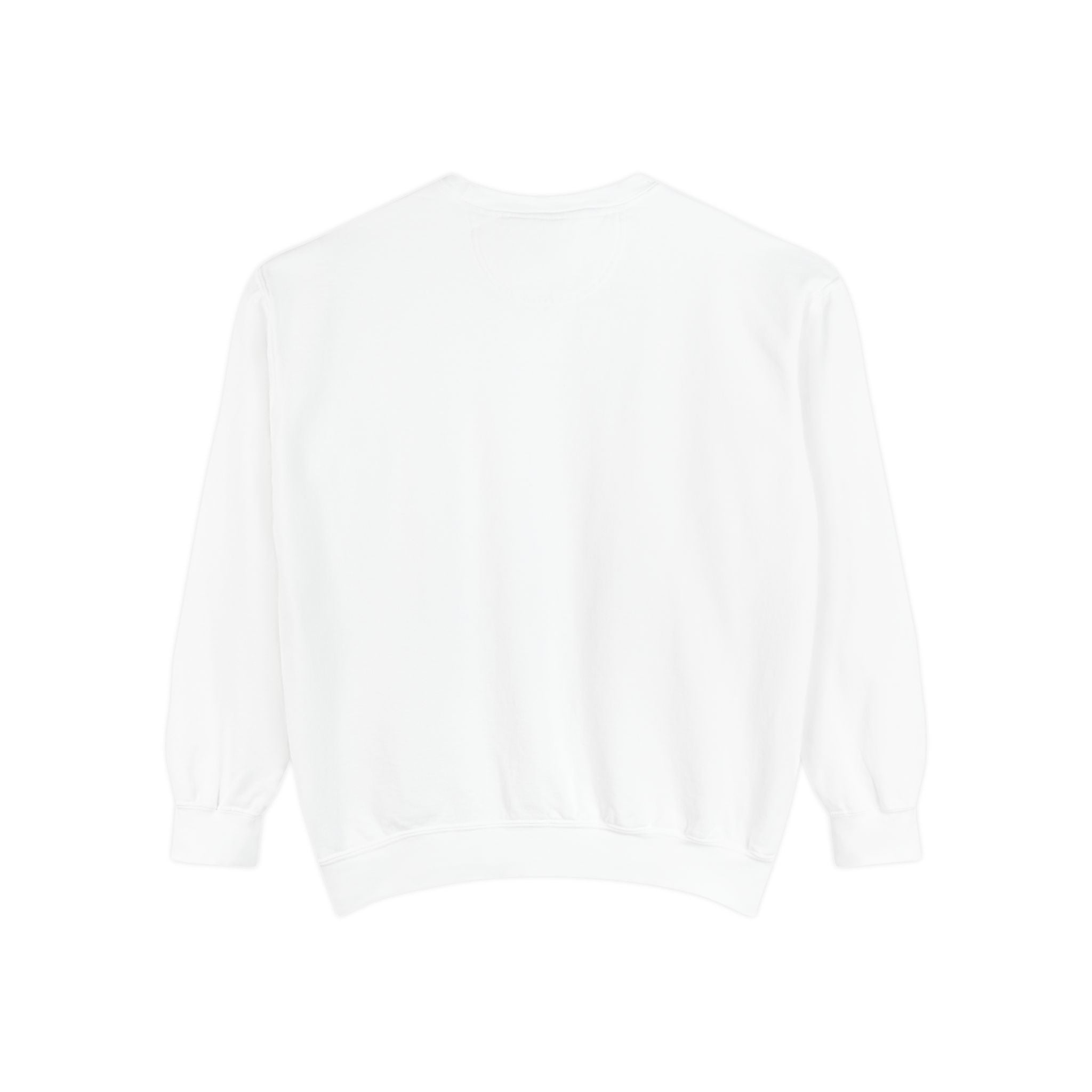 سويت شيرت Picture Imperfect Unisex مصبوغ بصبغة طبيعية
