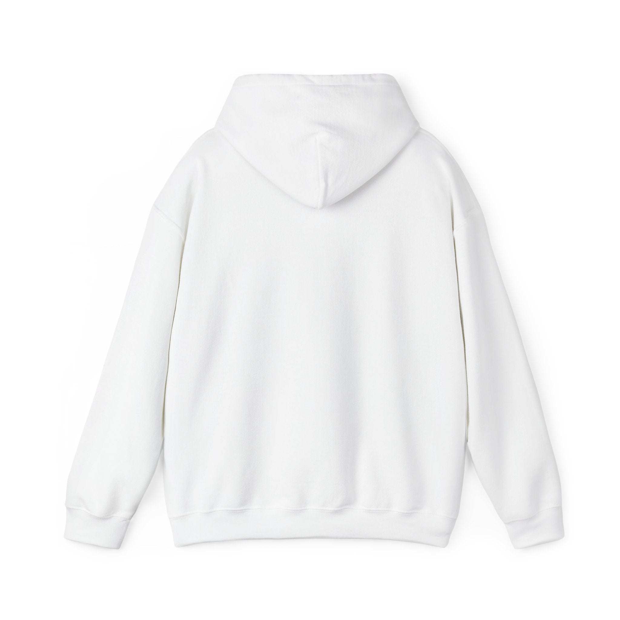Zero To Hero Unisex Heavy Blend™ Hooded Sweatshirt