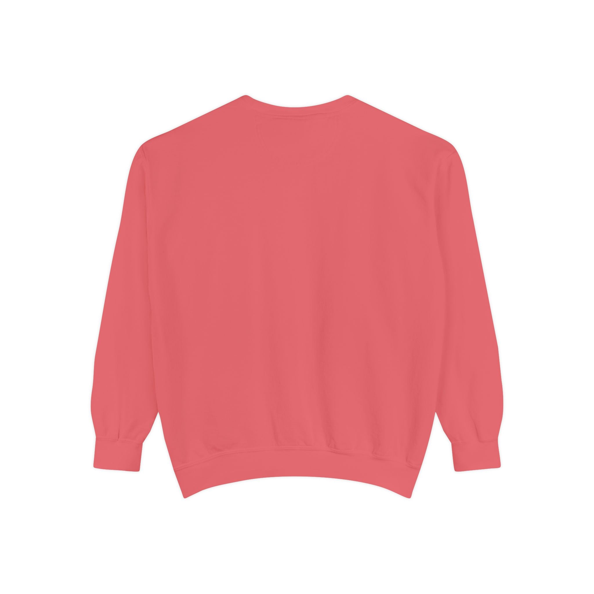سويت شيرت Picture Imperfect Unisex مصبوغ بصبغة طبيعية