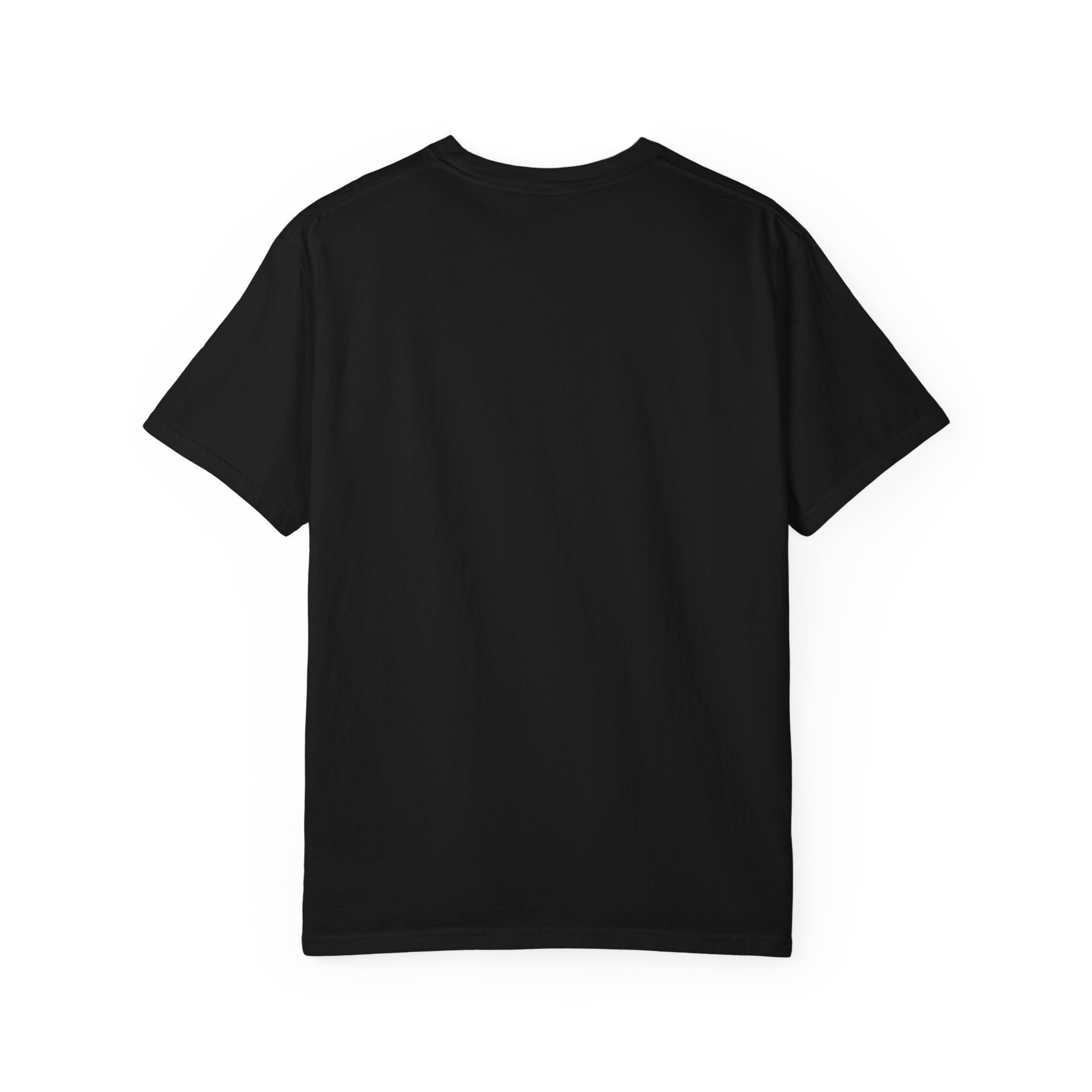 Zero To Hero Unisex Garment-Dyed T-shirt