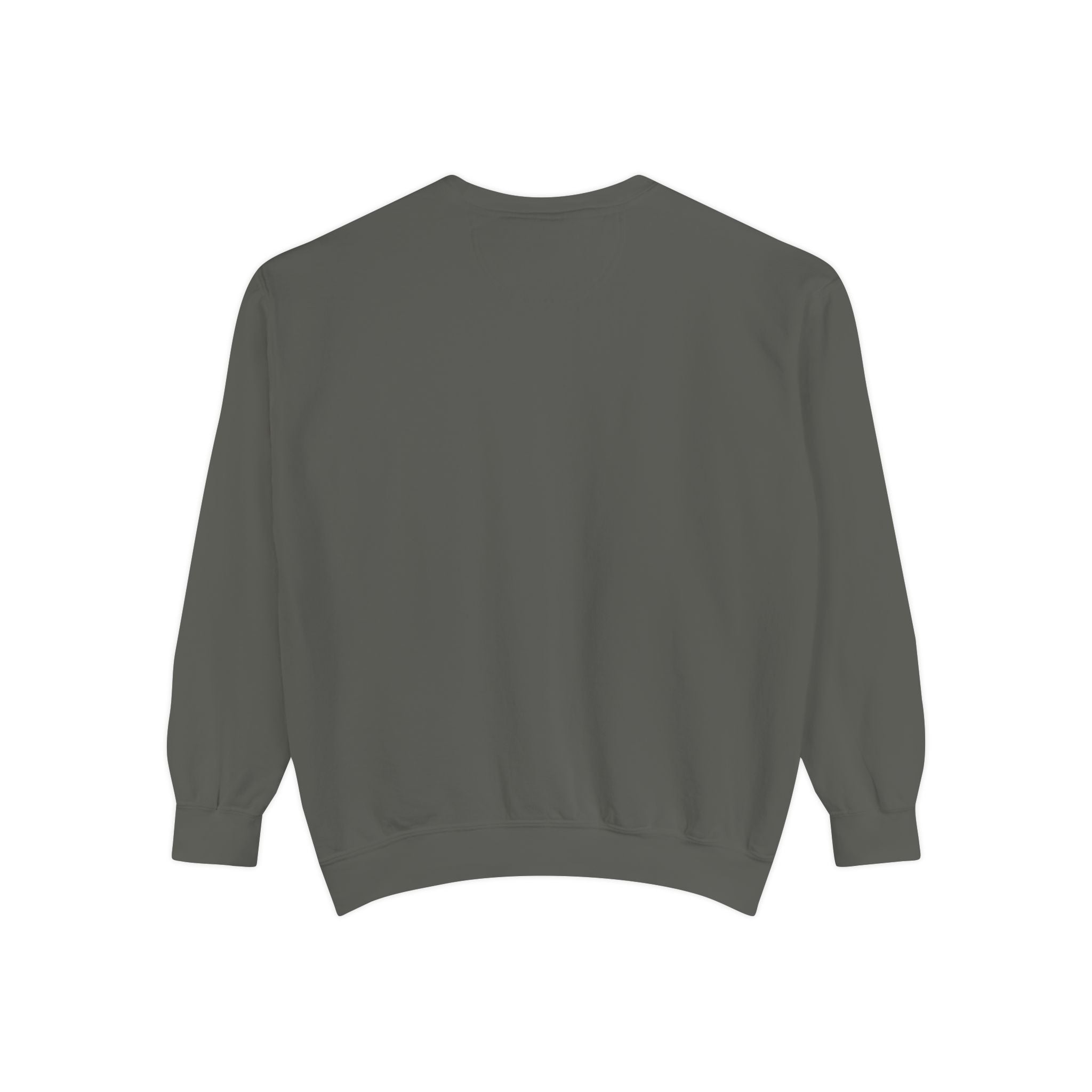 سويت شيرت Picture Imperfect Unisex مصبوغ بصبغة طبيعية