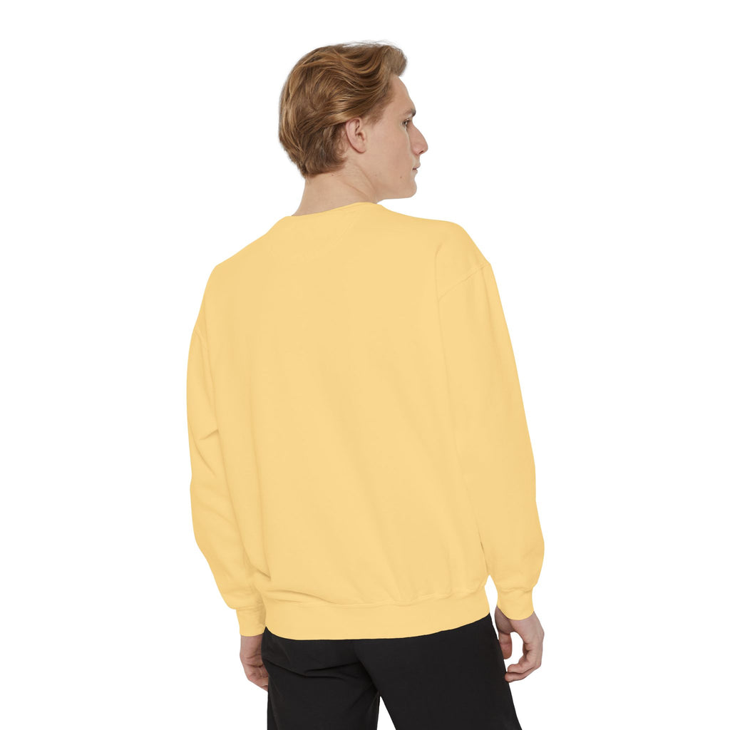 سويت شيرت Picture Imperfect Unisex مصبوغ بصبغة طبيعية