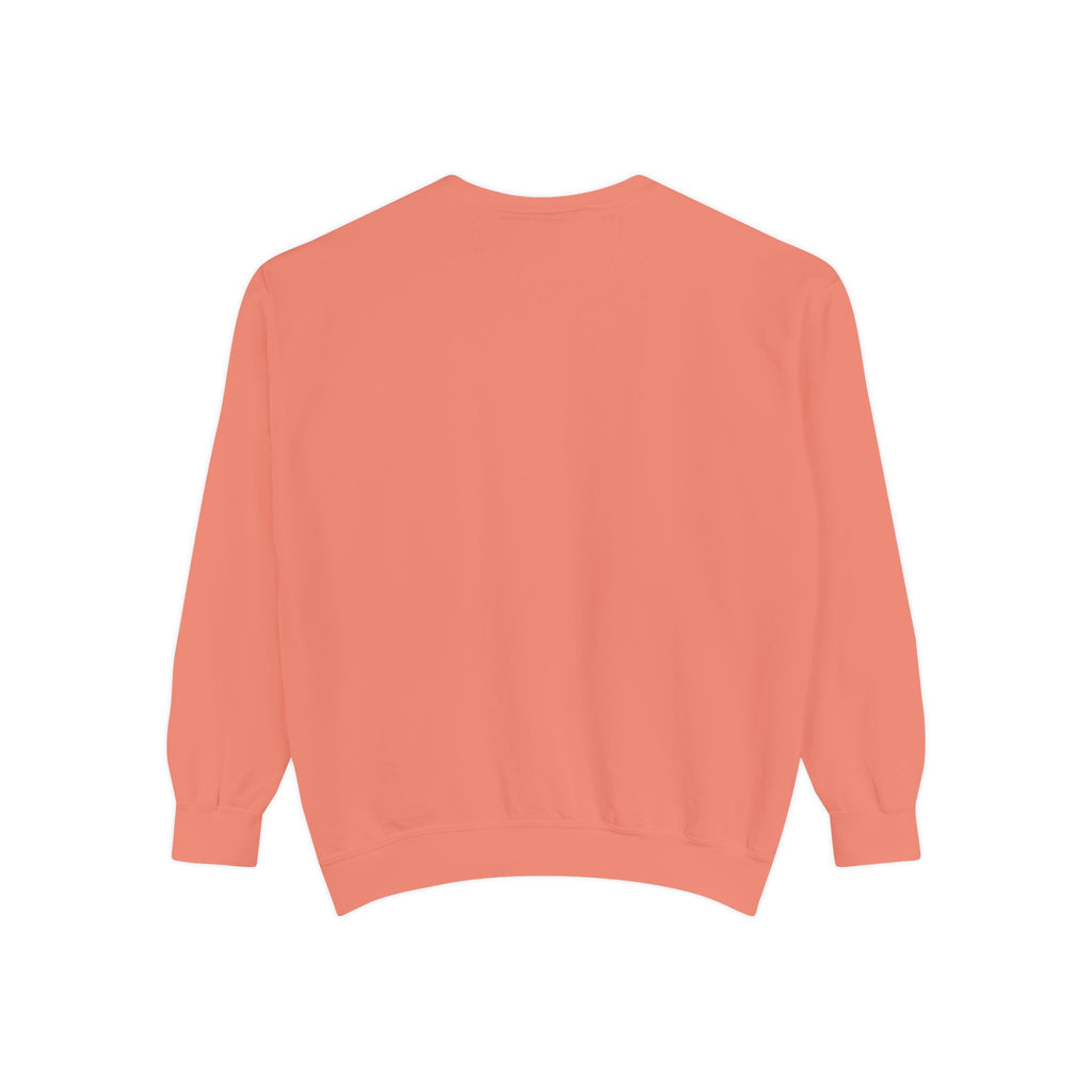 سويت شيرت Picture Imperfect Unisex مصبوغ بصبغة طبيعية