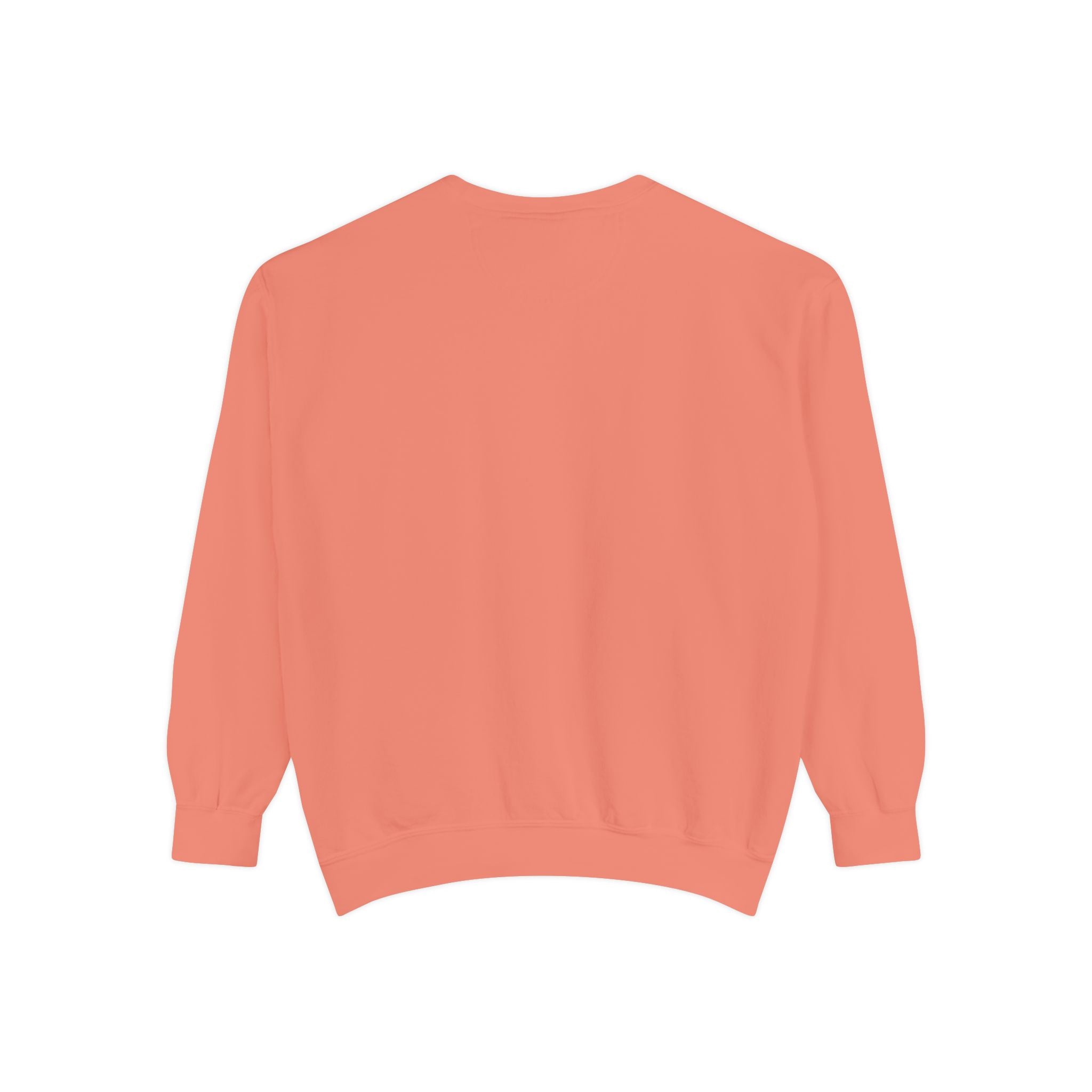 سويت شيرت Picture Imperfect Unisex مصبوغ بصبغة طبيعية