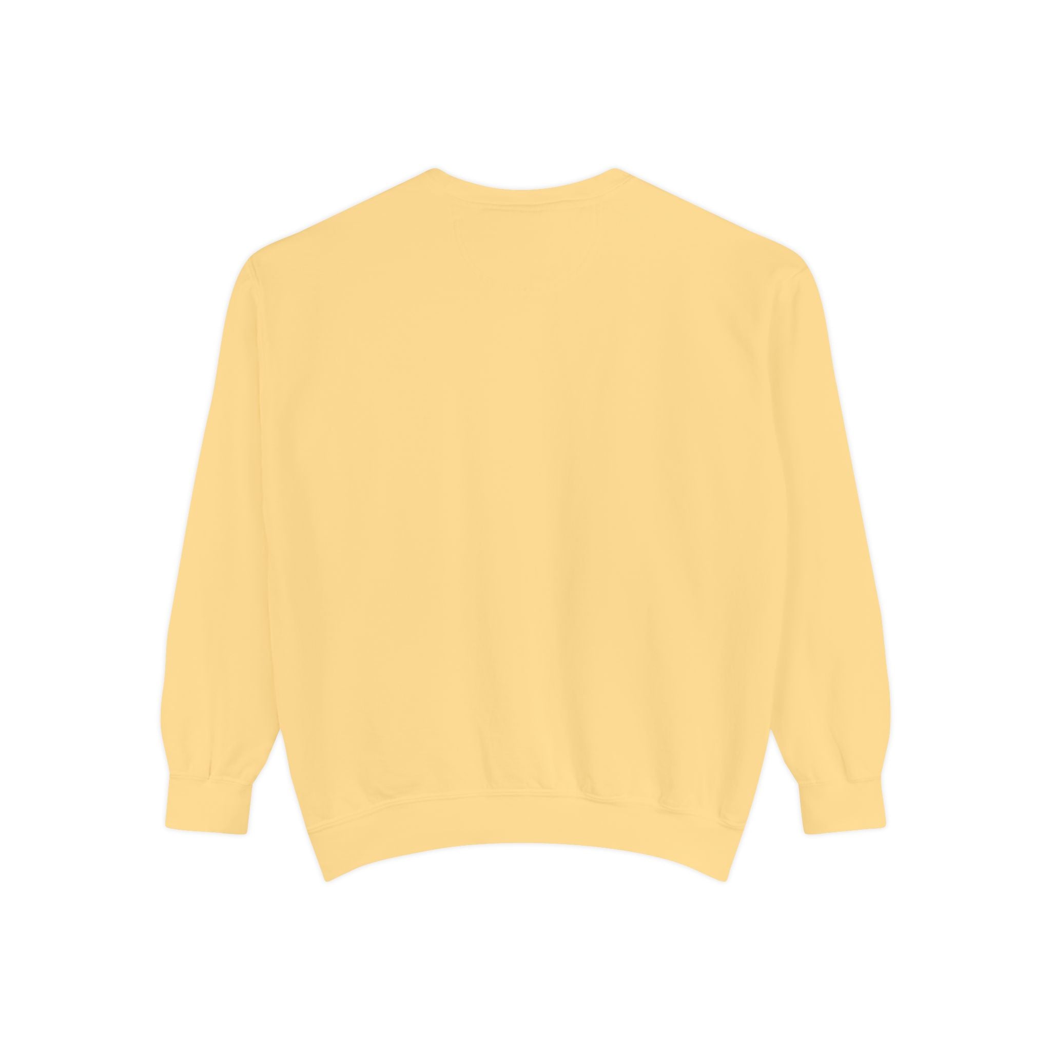 Picture Imperfect Unisex Garment-Dyed Sweatshirt
