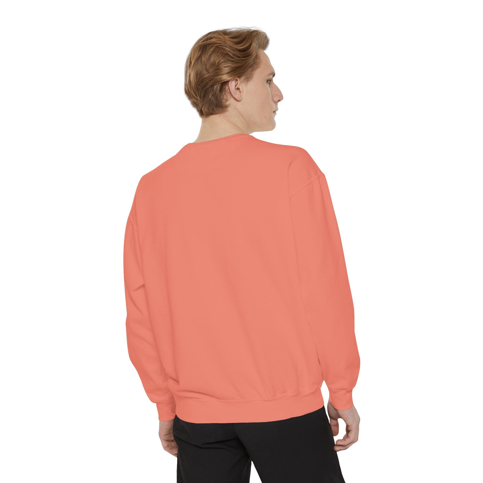 سويت شيرت Picture Imperfect Unisex مصبوغ بصبغة طبيعية